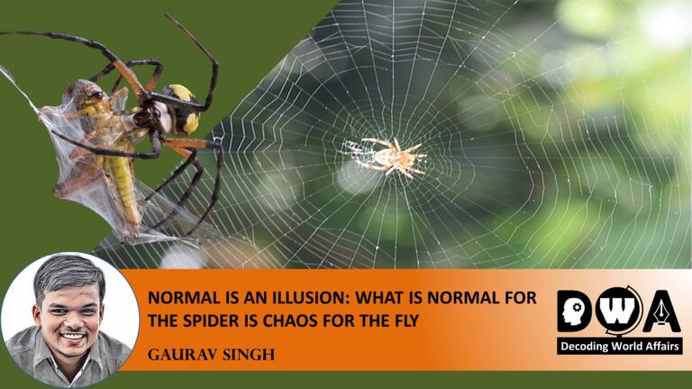 normal-is-an-illusion-what-is-normal-for-the-spider-is-chaos-for-the-fly